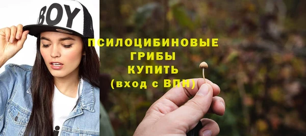 дмт Зеленодольск