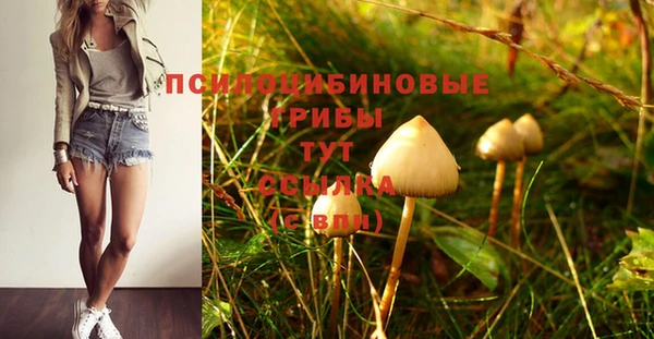 дмт Зеленодольск