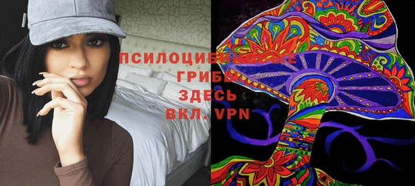 дмт Зеленодольск